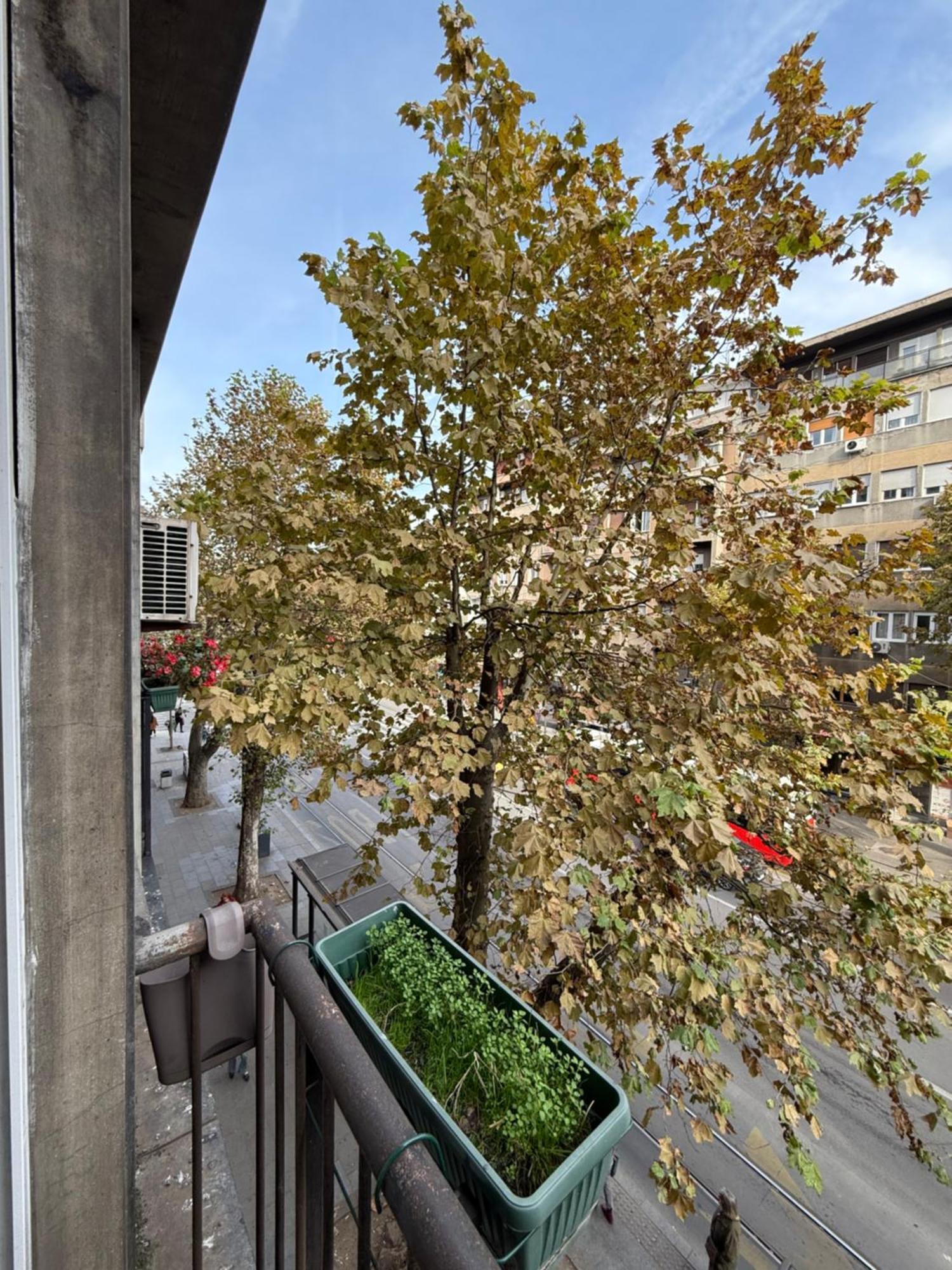 Apartment, Stari Grad, * Belgrad